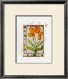 Buy Botanics of 17th Century I at AllPosters.com