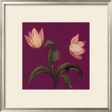 Buy Moon Shadows II at AllPosters.com