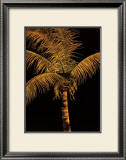 Buy Palm Oro at AllPosters.com