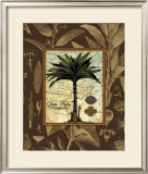 Buy Date Palm at AllPosters.com