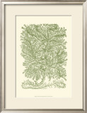 Buy Mossy Branches IV at AllPosters.com