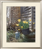Buy Sunning Daffodils at AllPosters.com