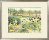 Old Time Flower Gardens III