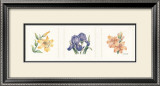 Buy Floral Spray II at AllPosters.com