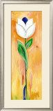 Buy Double White and Blue Tulip at AllPosters.com