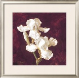 Buy Double Iris at AllPosters.com