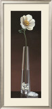 Buy Anemone Haiku at AllPosters.com