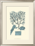 Buy Azure Seaweed II at AllPosters.com