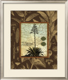 Buy C. Capsolorum at AllPosters.com