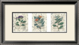 Buy Healing Herbs, Panel I at AllPosters.com