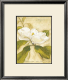 Buy Magnolia at AllPosters.com