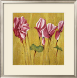 Buy Pink Cyclamens at AllPosters.com