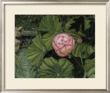 Buy Enchanting Lotus at AllPosters.com