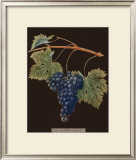 Buy Brookshaw Purple Grapes at AllPosters.com