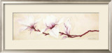 Buy Magnolias II at AllPosters.com