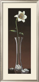 Buy Lily Haiku at AllPosters.com