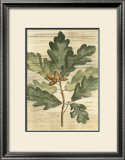 Buy Weathered Maple Leaves I at AllPosters.com