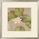 Buy Lotus Impressions II at AllPosters.com