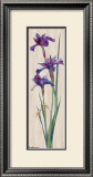 Buy Iris Panel II at AllPosters.com