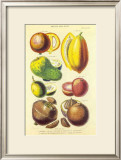 Buy History of the Vegetable Kingdom I at AllPosters.com