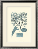 Buy Azure Seaweed II at AllPosters.com