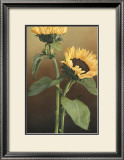 Buy Isabell's Garden II at AllPosters.com