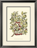 Buy Cherry Tree Branch at AllPosters.com