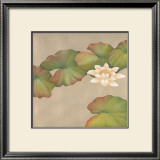 Buy Lotus Impressions I at AllPosters.com