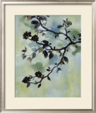 Buy Evening Shadows II at AllPosters.com