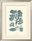 Buy Azure Seaweed I at AllPosters.com