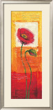 Buy Letter for Maja at AllPosters.com