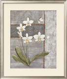 Buy Orchid Shimmer II at AllPosters.com