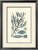 Buy Azure Seaweed III at AllPosters.com