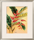 Buy Heliconia at AllPosters.com