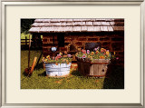 Buy Pumphouse Pansies at AllPosters.com