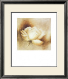 White Rose I