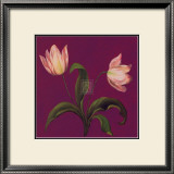 Buy Moon Shadows II at AllPosters.com
