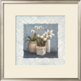 Blue and White Collection I