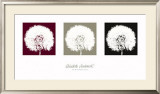 Buy Dandelion at AllPosters.com