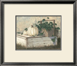 White Pumpkins Framed Art Print
