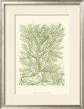 Buy Mossy Branches III at AllPosters.com