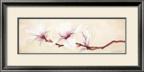 Buy Magnolias II at AllPosters.com