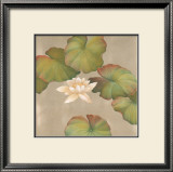 Buy Lotus Impressions II at AllPosters.com