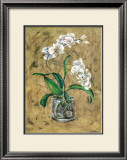 Flores Blancas I