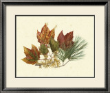 Buy Red Maple, Tamarack and White Pine at AllPosters.com