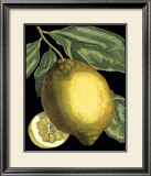 Fragrant Citrus II