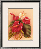 Buy Red and White Anthuriums at AllPosters.com