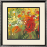Oriental Poppy Field II