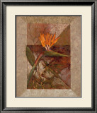 Buy Hawaiian Delight I at AllPosters.com