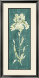 Buy Teal Iris at AllPosters.com
